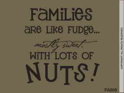 Families are like fudge